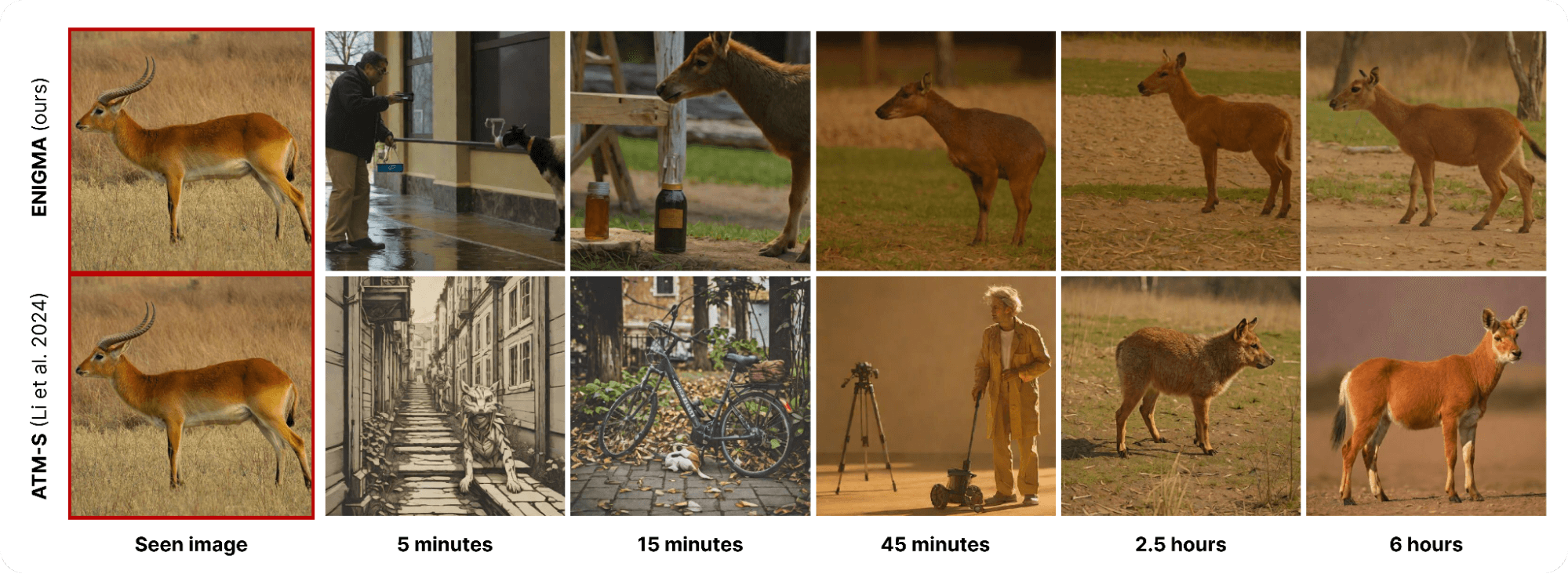 Figure showing comparisons between the images shown to subjects and reconstructions from both the THINGS-EEG2 and Alljoined-1.6M datasets.